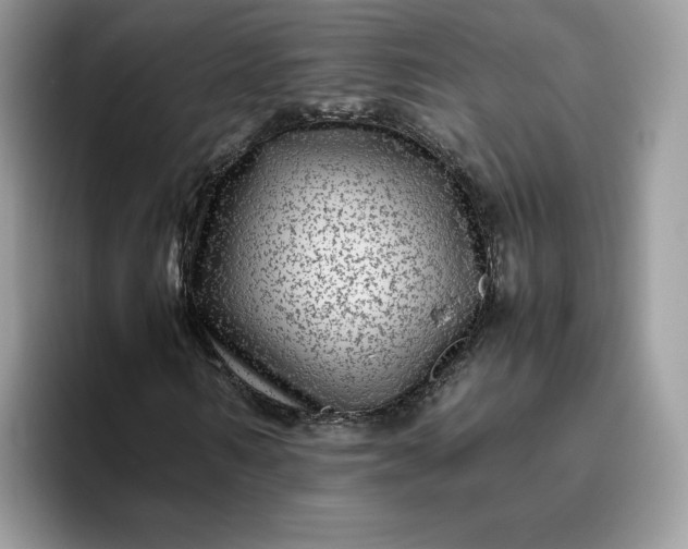 X0000095940962200801251107