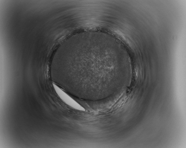 X0000095940964200801251107