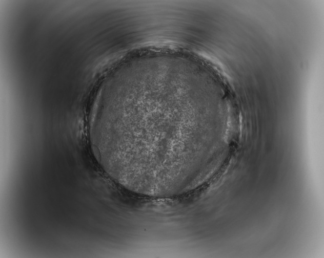 X0000095940966200801251107