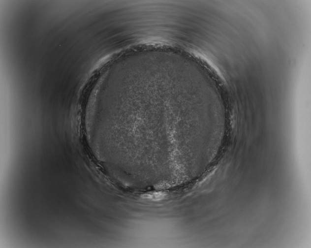 X0000095940968200801251107