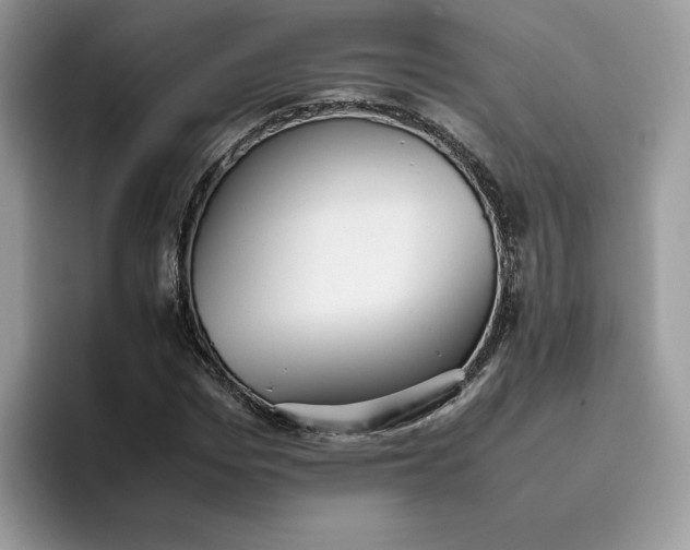 X0000095940969200801251107
