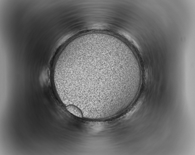 X0000095940970200801251107