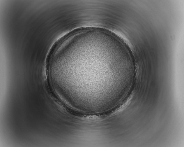 X0000095940974200801251106