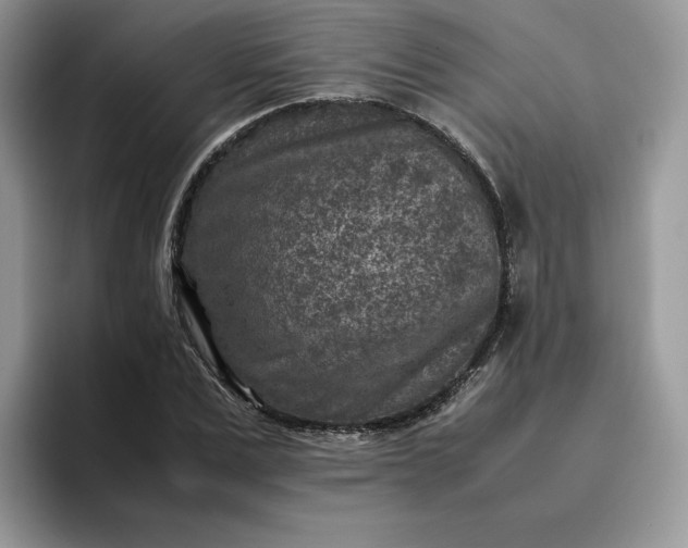 X0000095940975200801251106