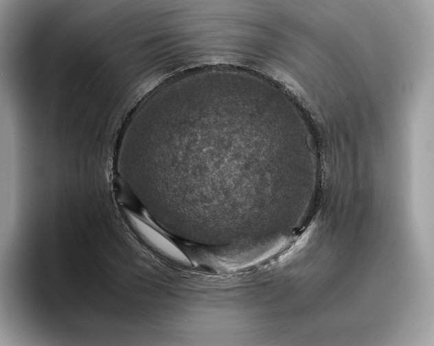 X0000095940977200801251106