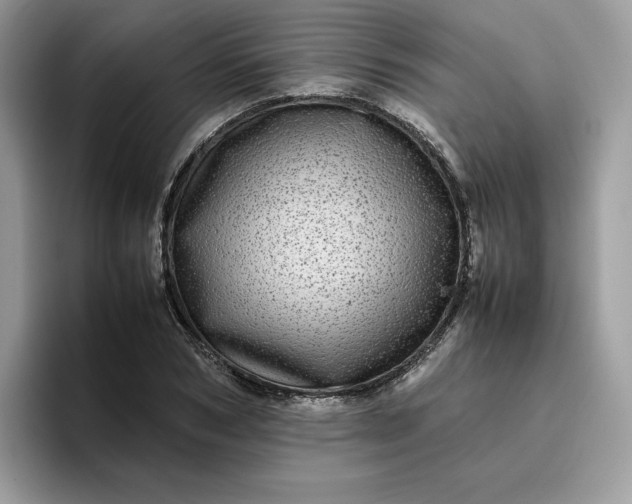 X0000095940978200801251106