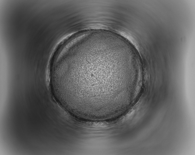 X0000095940979200801251106