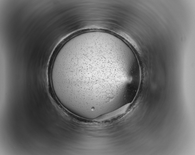 X0000095940980200801251106