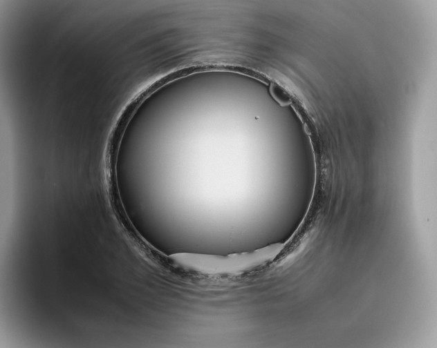 X0000095940981200801251106