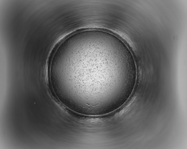 X0000095940982200801251106