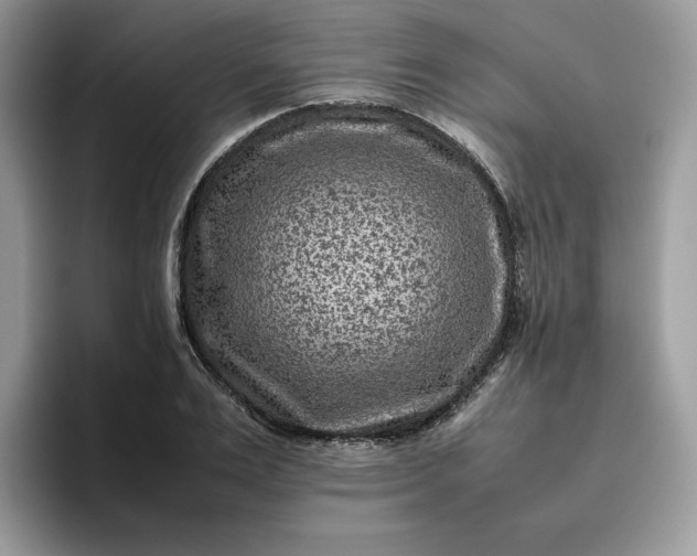 X0000095940983200801251106