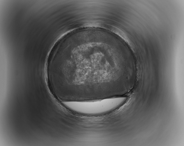 X0000095940984200801251106