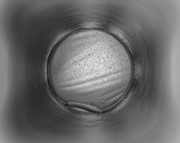 X0000095940986200801251106
