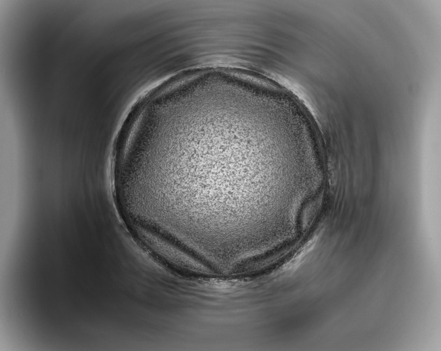 X0000095940987200801251106