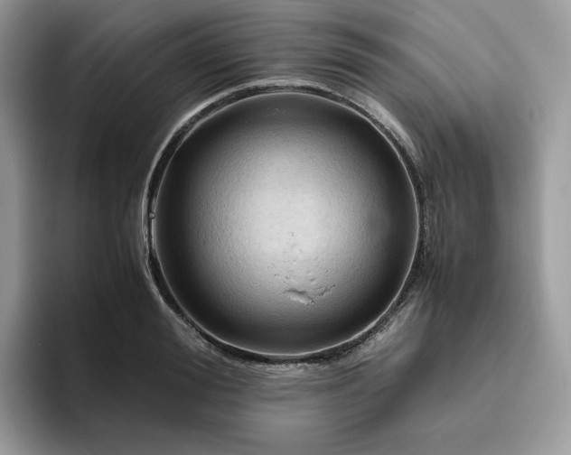 X0000095940988200801251106
