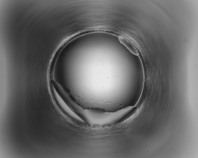 X0000095940989200801251106