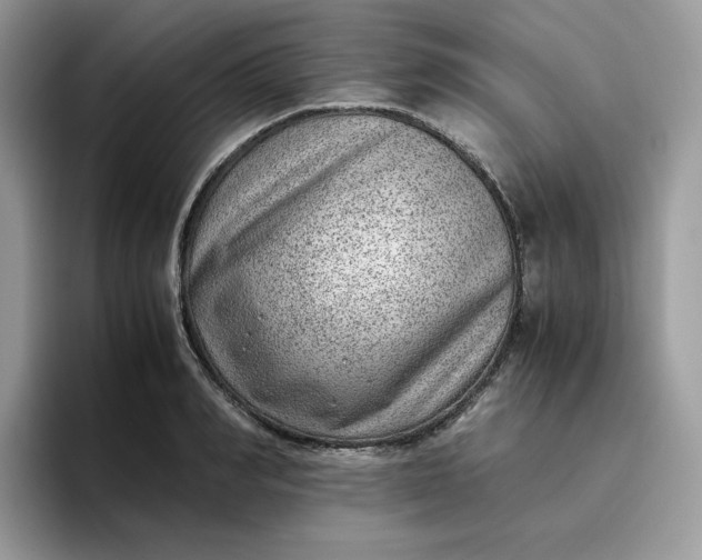 X0000095940990200801251106