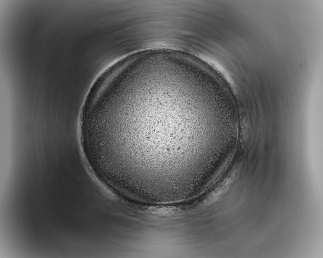 X0000095940991200801251106