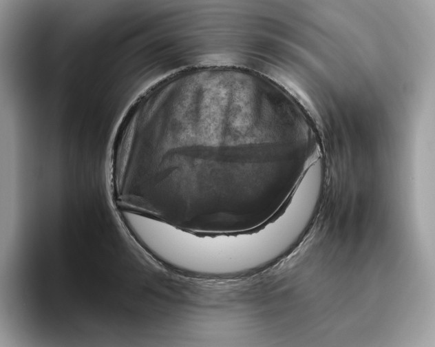 X0000095940992200801251106