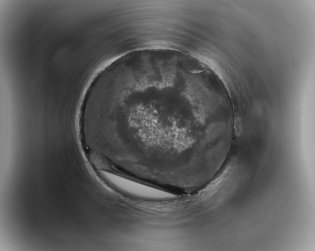 X0000095940995200801251106