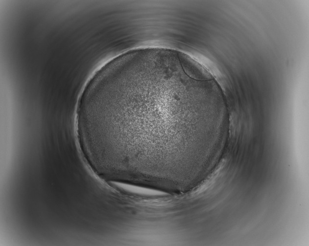 X0000095940998200801251106