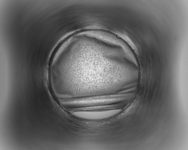 X0000095941000200801251106