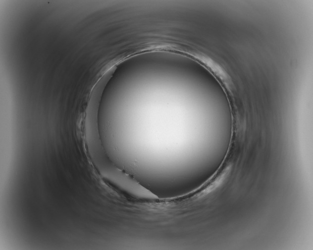 X0000095941001200801251106