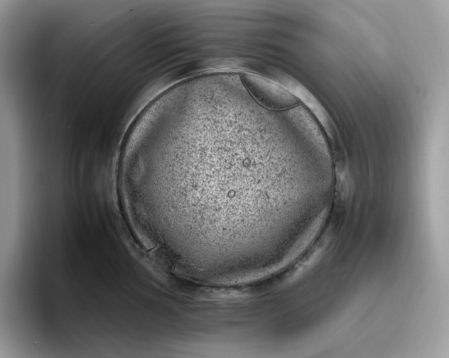 X0000095941002200801251106