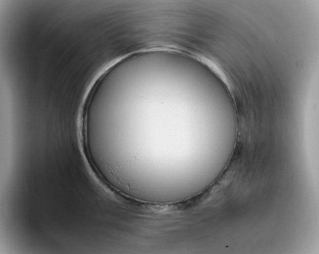 X0000095941003200801251106