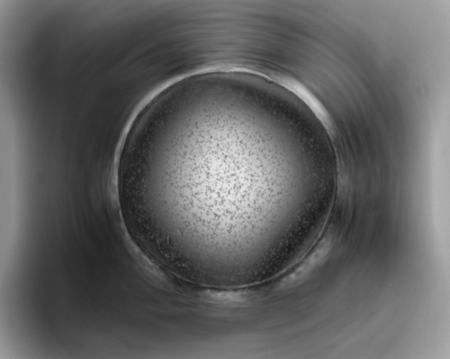 X0000095941004200801251106