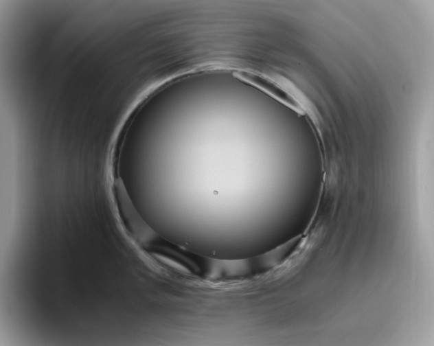 X0000095941005200801251106