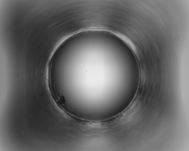 X0000095941006200801251106
