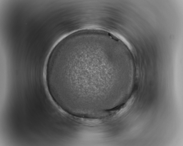 X0000095941007200801251106