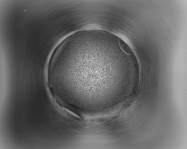 X0000095941008200801251106