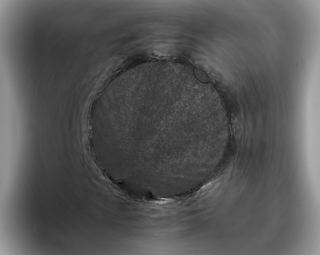 X0000095941009200801251105