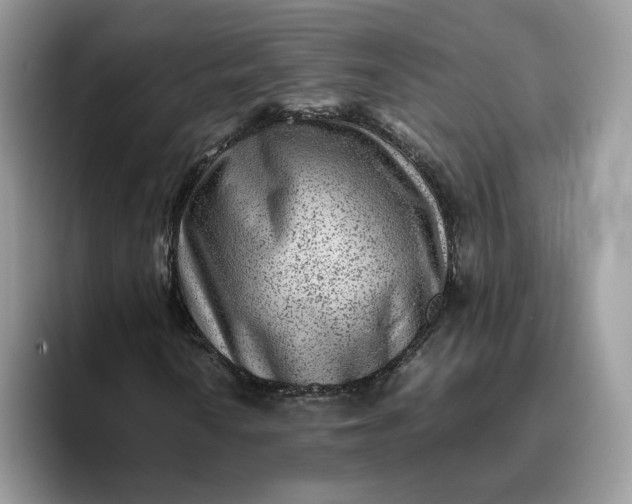 X0000095941010200801251105