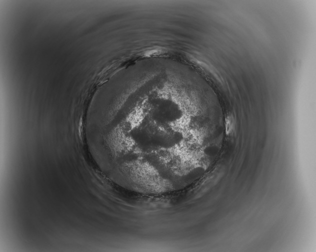X0000095941011200801251105