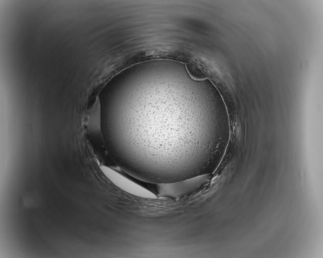 X0000095941012200801251105