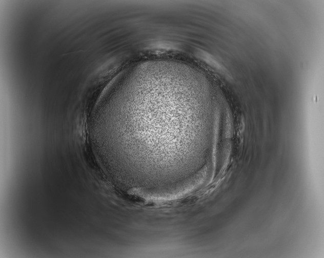 X0000095941014200801251105