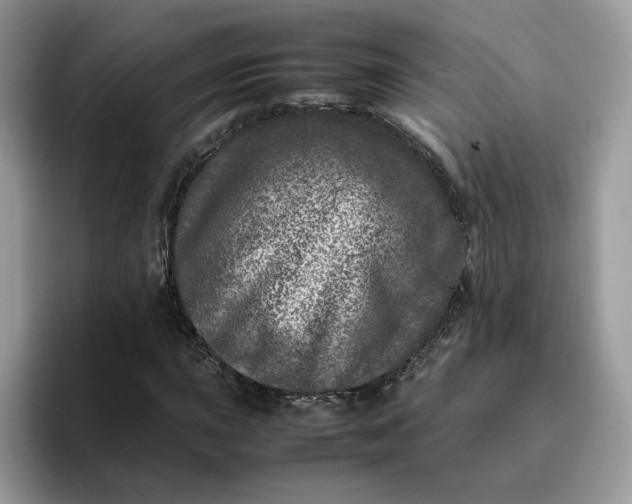X0000095941015200801251105