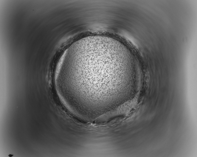X0000095941016200801251105