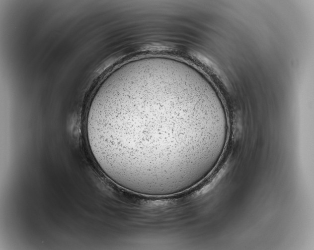 X0000095941017200801251105