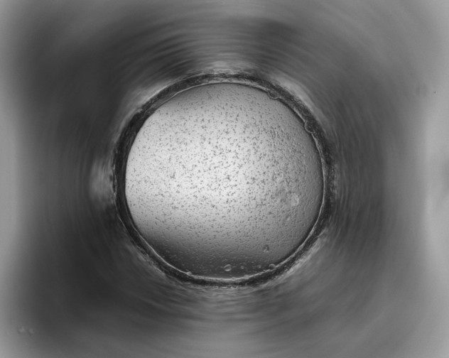 X0000095941018200801251106