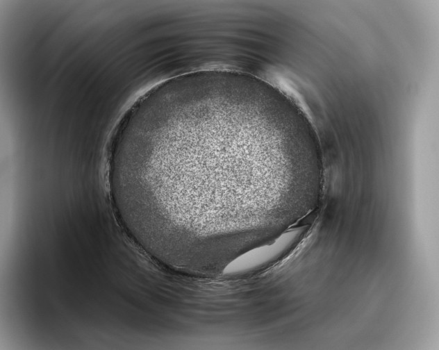 X0000095941019200801251106