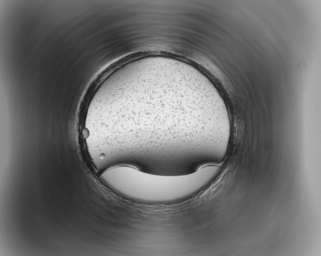 X0000095941020200801251106