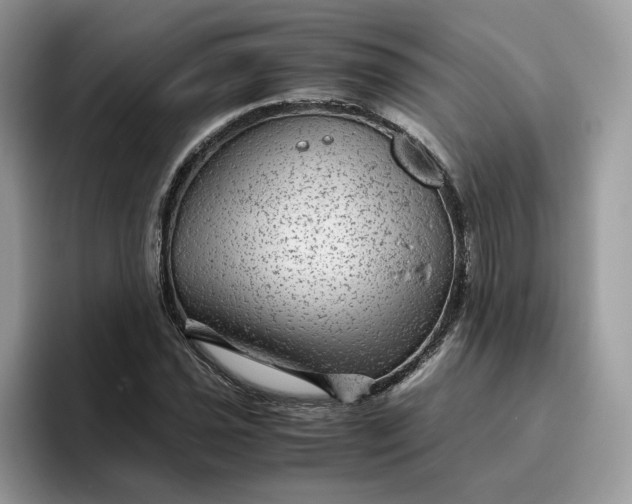 X0000095941021200801251106
