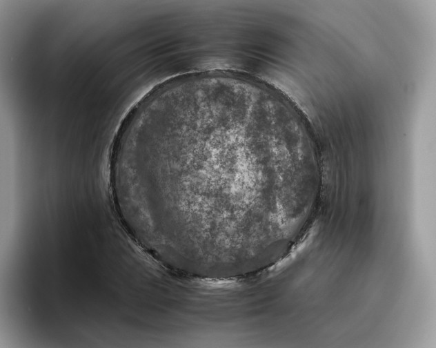 X0000095941023200801251106