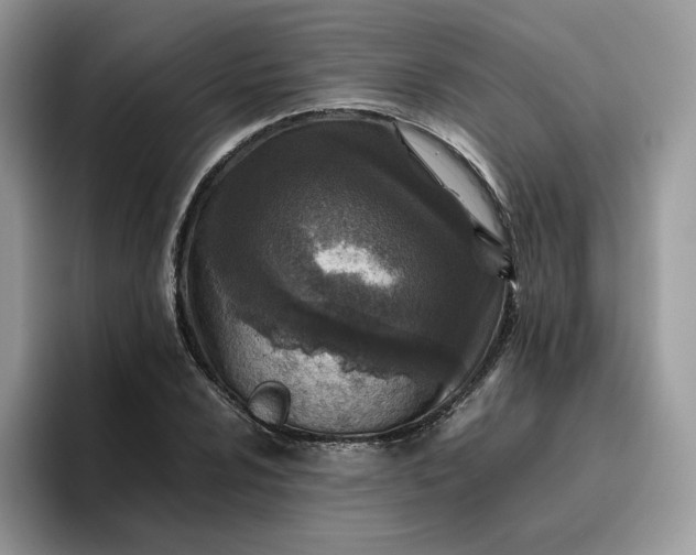 X0000095941024200801251106