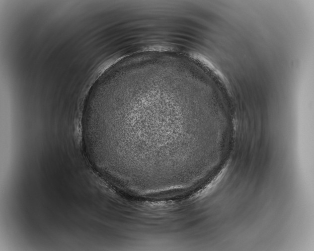 X0000095941025200801251106