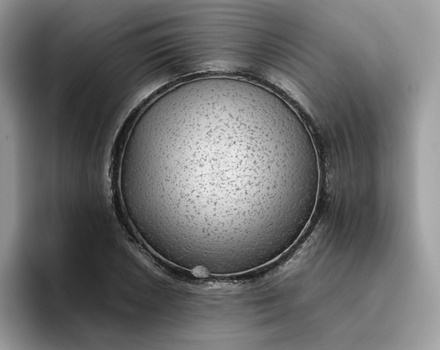 X0000095941026200801251106